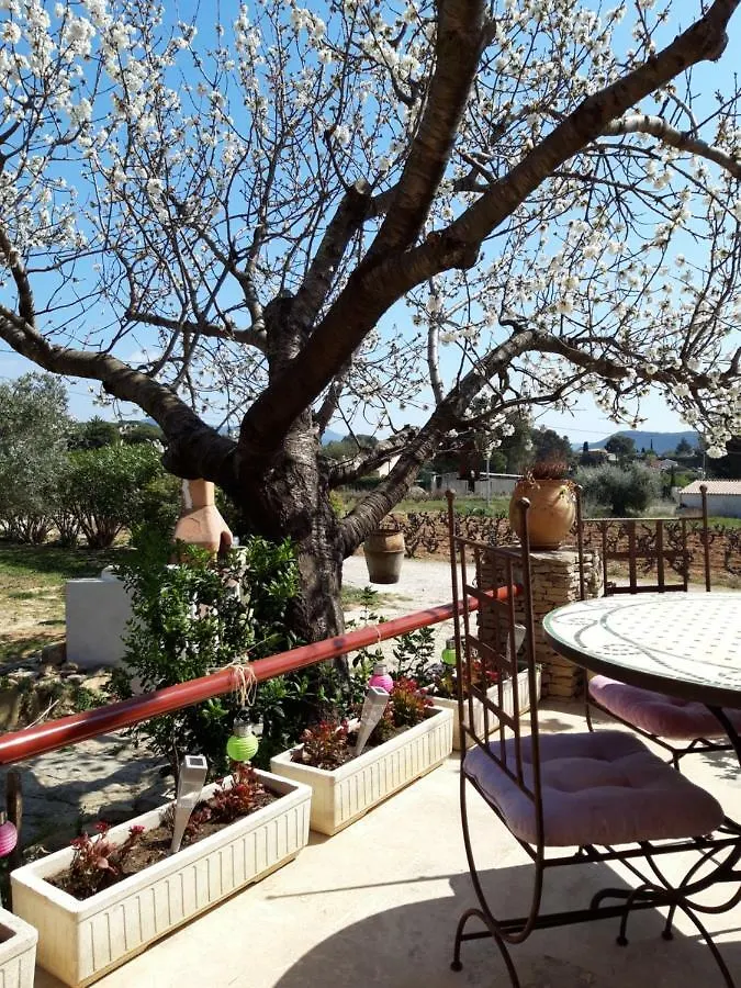 Gîte  Les Oliviers Le Castellet  France