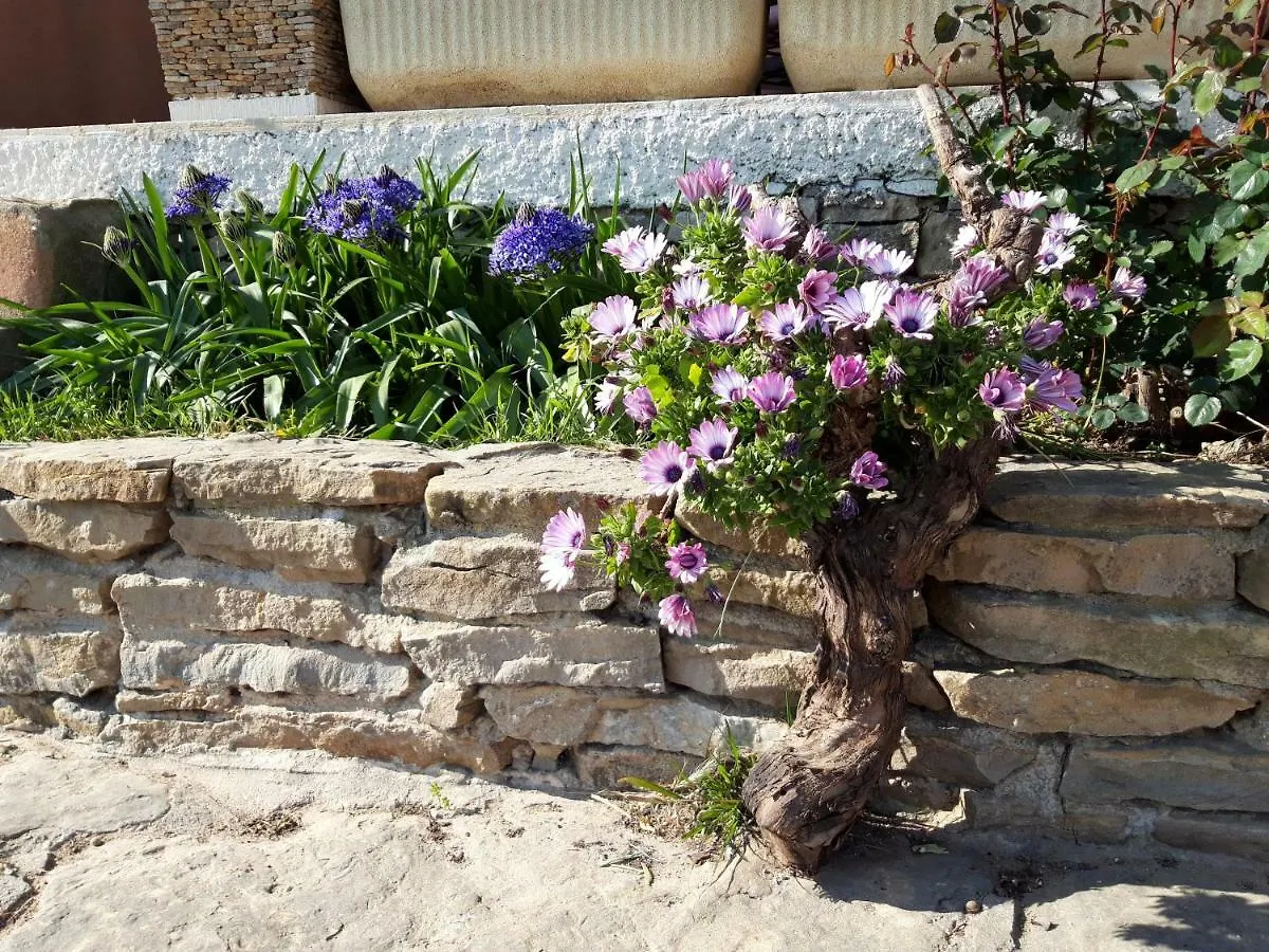 Gîte  Les Oliviers Le Castellet  0*, Le Castellet (Var)