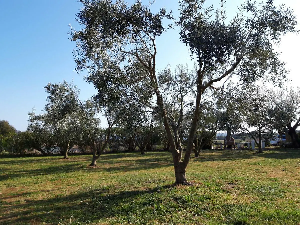 Gîte  Les Oliviers Le Castellet  Hébergement de vacances